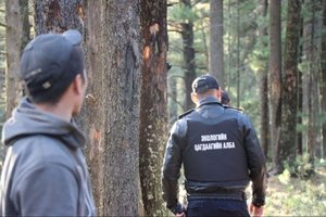 Зөрчлийн шинжтэй 146 үйлдлийг илрүүллээ